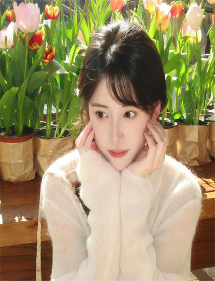 沉香重华电视剧33集在线播放_结三次婚的女人_猎罪图鉴2电视剧免费观看完整版